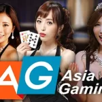 J9九游